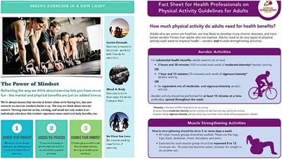 Can Exercising and Eating Healthy Be Fun and Indulgent Instead of Boring and Depriving? Targeting Mindsets About the Process of Engaging in Healthy Behaviors